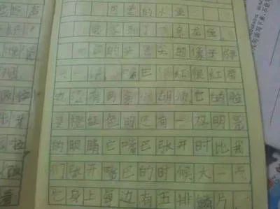 龙鱼的作文怎么写300字三年级 龙鱼百科 第1张