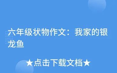 龙鱼的作文怎么写300字三年级 龙鱼百科 第2张