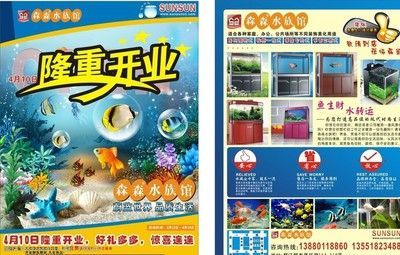 森森水族用品怎么样