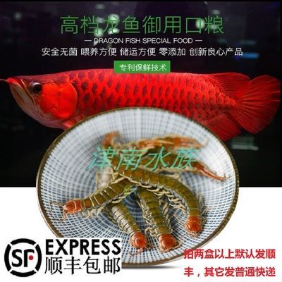 龙鱼可以吃蚕蛹吗 龙鱼百科 第3张