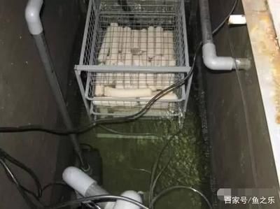 养龙鱼用什么过滤材料比较好