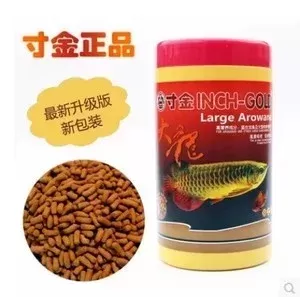 龙鱼怎么喂好吃又简单的食物