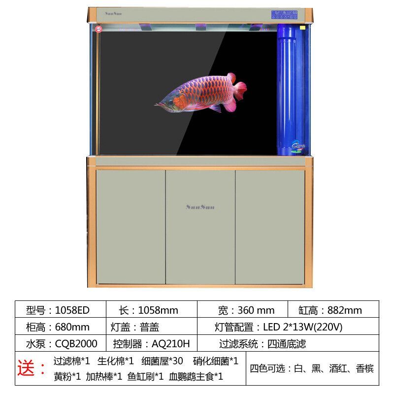 龙鱼尺寸是按照什么算的