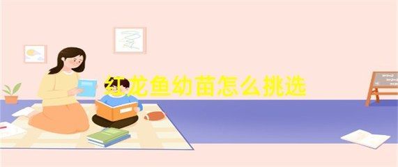 红龙鱼挑选幼苗