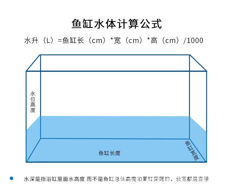 养龙鱼需要多高水位 龙鱼百科 第2张