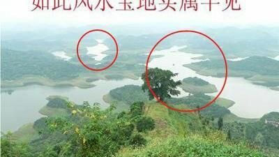 办公室养龙鱼几条比较好 龙鱼百科 第2张