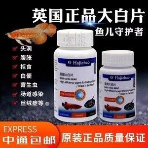 龙鱼没食欲用内寄大白片可以吗怎么喂 龙鱼百科