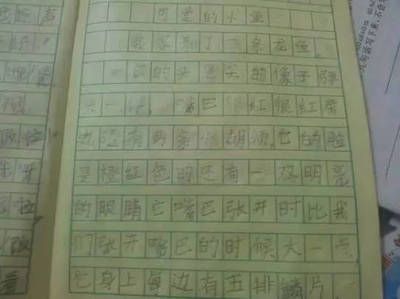 关于龙鱼的作文300字