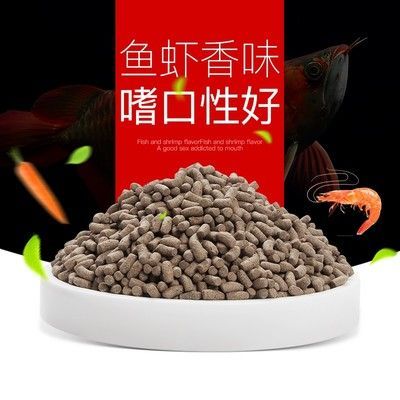 龙鱼吃颗粒饲料吗有营养吗怎么喂