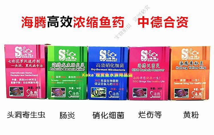 龙鱼治肠炎用什么药最好用：如何治疗龙鱼肠炎 龙鱼百科 第1张