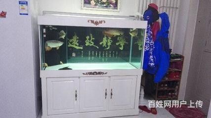 龙鱼跳出鱼缸死了：龙鱼跳出鱼缸死亡可能由以下几个原因导致龙鱼死亡