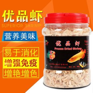 金龙鱼要用什么水养：金龙鱼的饲养方式