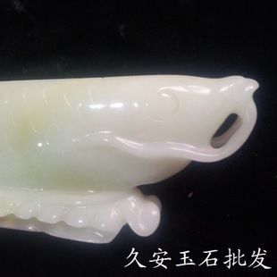 龙鱼过滤棉晒干硝化细菌会死吗为什么：硝化细菌对于水族箱生态系统的影响