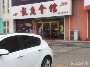 龙鱼品相和介绍怎么写文案吸引人：关于龙鱼品相和介绍的文案