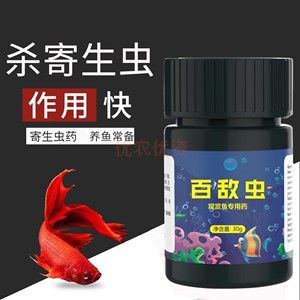 龙鱼如何杀虫用什么药好：龙鱼被寄生虫感染怎么办 龙鱼百科