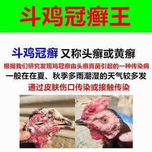 龙鱼真菌感染怎么治疗：如何治疗龙鱼真菌感染 龙鱼百科 第2张