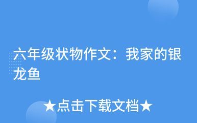 7000万的红龙鱼：中国最贵的“紫艳血红龙”，被日本富商60万美元购买