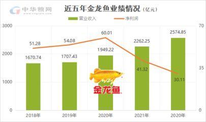 金龙鱼今年业绩：金龙鱼2024年一季度业绩如何？ 龙鱼百科 第2张