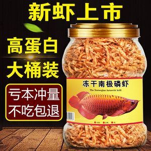 龙鱼不吃虾干：龙鱼可以吃虾干吗？