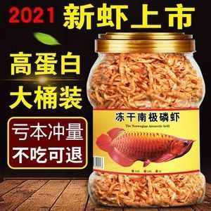 龙鱼不吃虾干：龙鱼可以吃虾干吗？