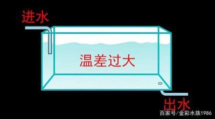 龙鱼鳞片翘起基底充血：龙鱼鳞片翘起基底充血可能是由多种因素引起的