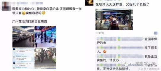 10cm银龙鱼怎么养：10厘米的银龙鱼在饲养时有一些关键因素需要考虑