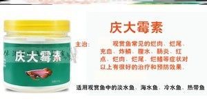 龙鱼黄粉用法用量：龙鱼黄粉使用方法和用量是养鱼过程中需要注意的重要环节 龙鱼百科 第1张