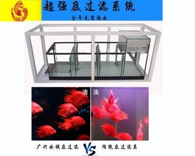 龙鱼缸用什么过滤器：龙鱼缸过滤器怎么选？ 龙鱼百科