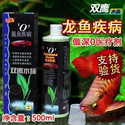 龙鱼蒙眼用什么药最有效果：龙鱼蒙眼用什么药最有效