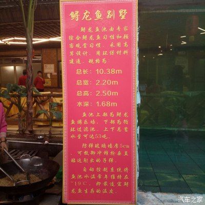 河源龙鱼专卖店：河源市龙鱼专卖店