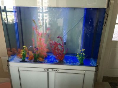 龙鱼缸十大品牌排行榜：水族箱十大品牌排行榜