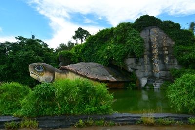 广东湛江龙鱼之谜：广东湛江湖光岩之谜 龙鱼百科 第3张