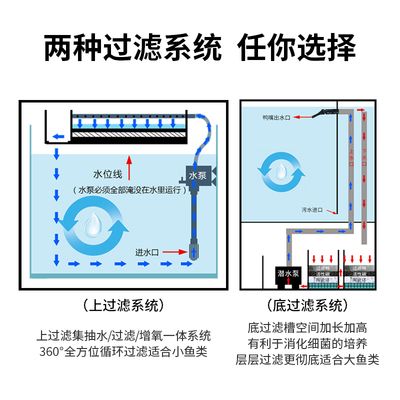 龙鱼缸水位多高合适：龙鱼缸水位多少合适