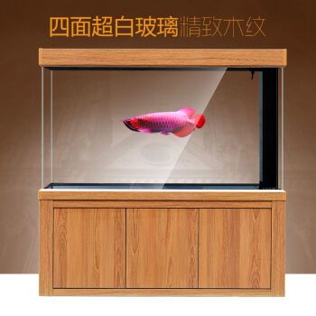 龙鱼缸品牌推荐一下：水族器材品牌选择 龙鱼百科 第3张