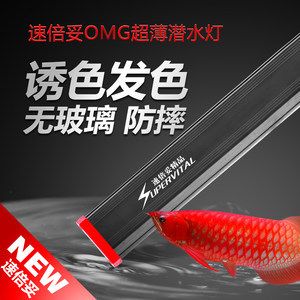 金龙鱼专用灯哪个牌子好点：金龙鱼专用灯品牌排名