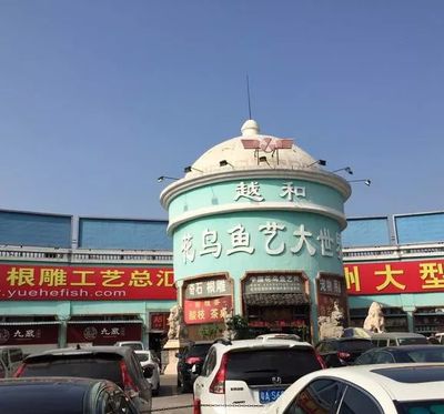 来宾龙鱼专卖店：来宾市兴宾区龙百乐鱼馆凤临路店