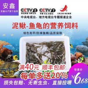 龙鱼哪个品牌好养：在选择龙鱼品牌时我们可以从多个角度进行考虑考虑