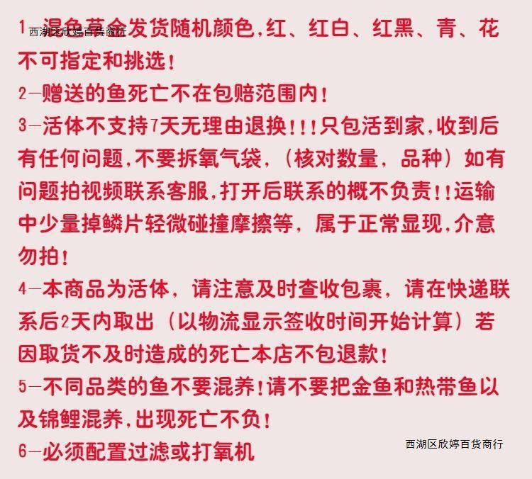 龙鱼饲料鱼夏天容易死：夏天是龙鱼饲料鱼死亡率较高的季节 龙鱼百科 第2张