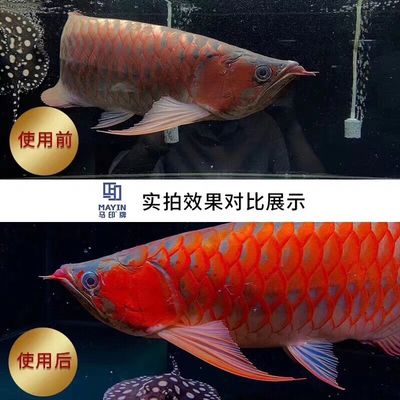 龙鱼为什么要用三基色灯照：三基色灯管的优点和缺点 龙鱼百科 第3张