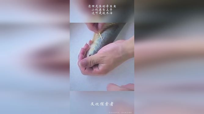 红龙鱼体内有虫怎么祛除视频：关于红龙鱼体内寄生虫的问题