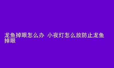 龙鱼突然撞缸了怎么办：如何预防龙鱼撞缸 龙鱼百科 第2张