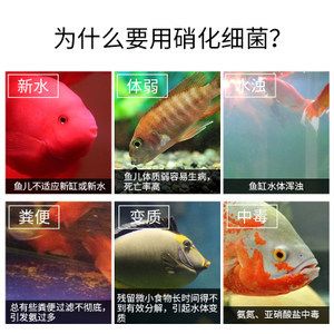 龙鱼水质检测方法？：养龙鱼时水质检测方法：ph值是衡量水质酸碱度的一个重要指标