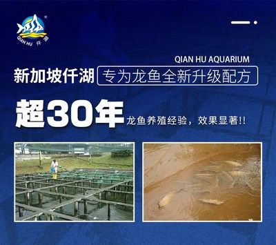 龙鱼能用海水养吗视频：海水鱼和淡水鱼有什么区别海水鱼和淡水鱼不能混养