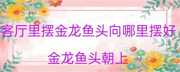 龙鱼斜着身子游怎么治：龙鱼斜着身子游可能由多种原因引起，治疗方法也会有所不同 龙鱼百科