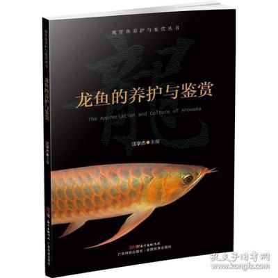 龙鱼的养殖与鉴赏：龙鱼养殖与鉴赏 龙鱼百科 第1张