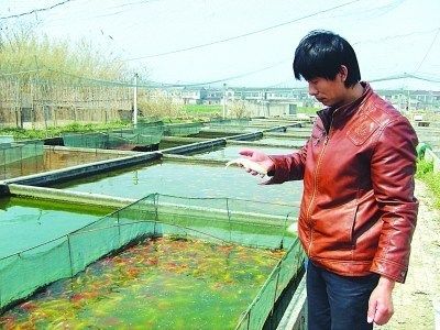 广东龙鱼养殖基地有哪些品种的：广东的龙鱼养殖基地有哪些 龙鱼百科 第3张