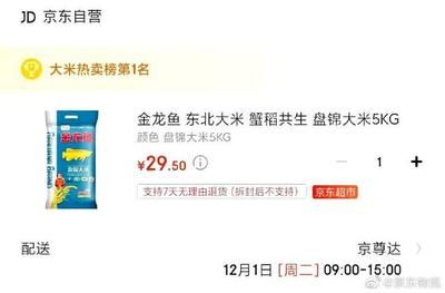 广州哪里买金龙鱼便宜又好看：广州哪里可以买金龙鱼