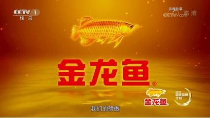 金龙鱼未来展望：益海嘉里金龙鱼2023年上半年营收2575亿元同比增长13.8% 龙鱼百科 第3张