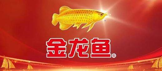 金龙鱼宣传视频：金龙鱼品牌宣传视频可能会展示品牌的发展历程、产品优势 龙鱼百科 第3张