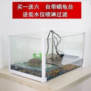 红龙鱼鱼缸水位多少比较好钓：红龙鱼的水位控制 龙鱼百科 第3张